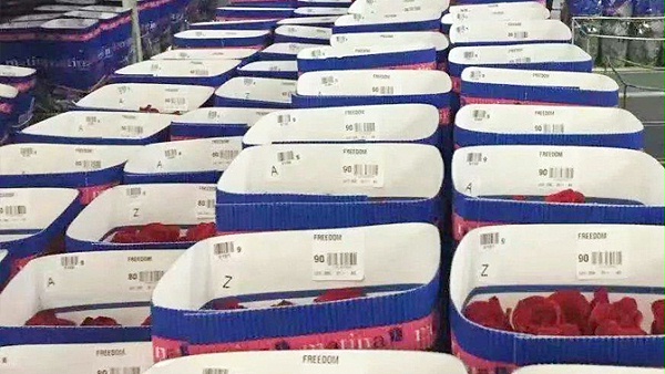 心航報關鮮花進口